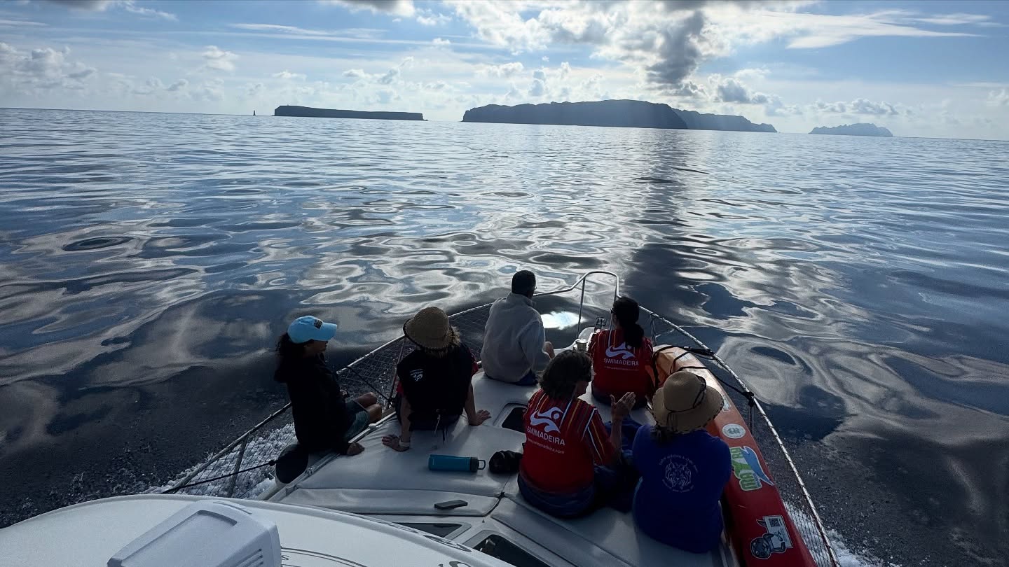 Magic Boat photo 3