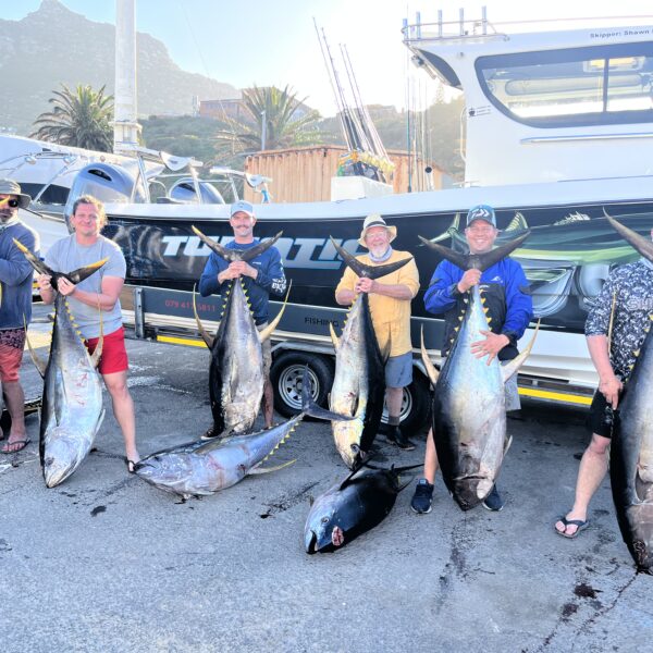 Gordons Bay Inshore Charter