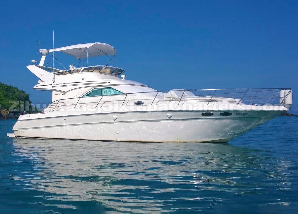 3 Hour Morning Charters