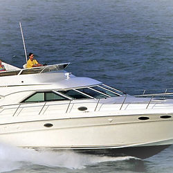 3 Hour Morning Charters