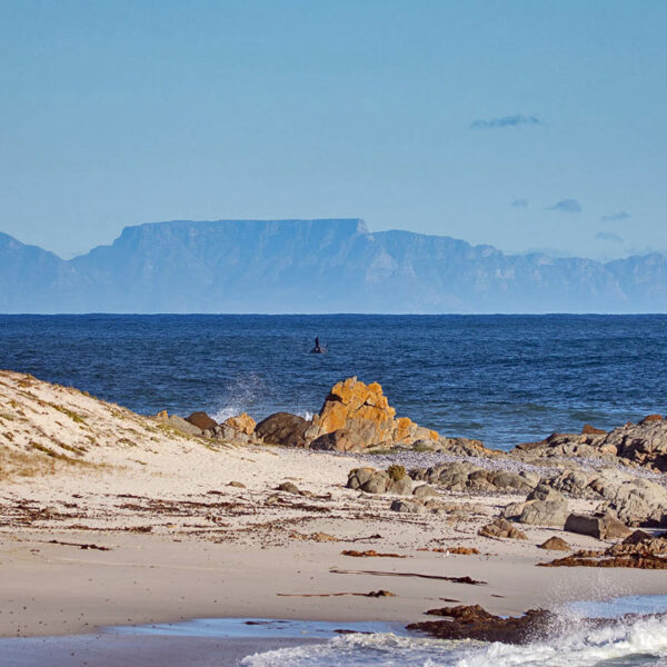 Robben Island Sightseeing Trip