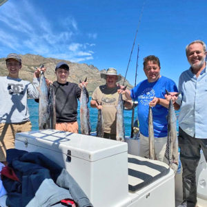 Cape Point Trip